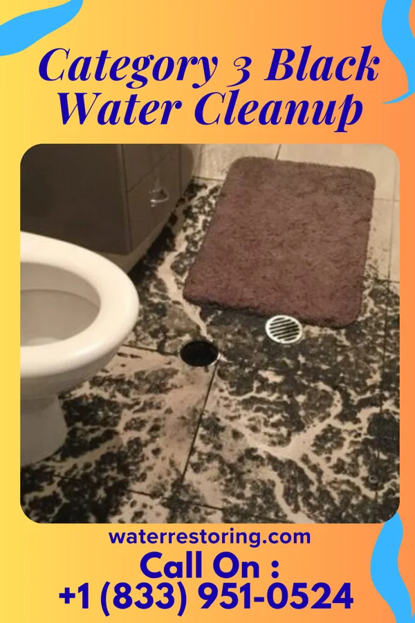 Category 3 Black Water Cleanup in Akron, OH