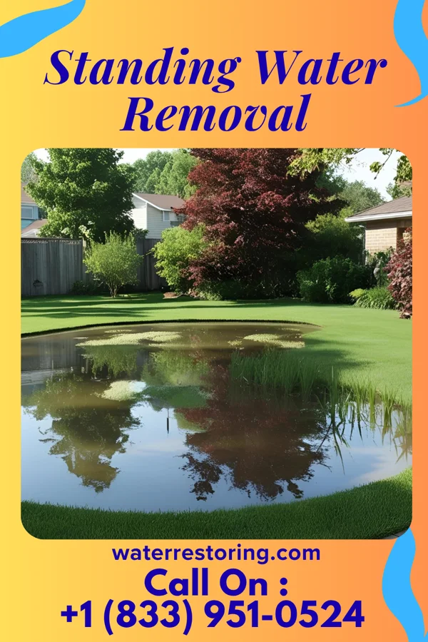 Standing Water Removal in Akron, OH
